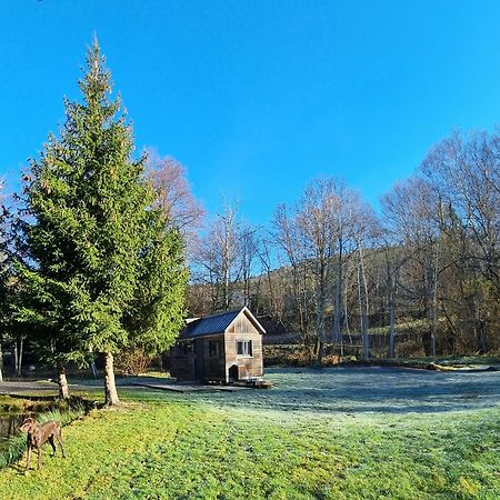Insolite Tiny House Sérénité Bien Être Ban-sur-Meurthe-Clefcy Extérieur photo