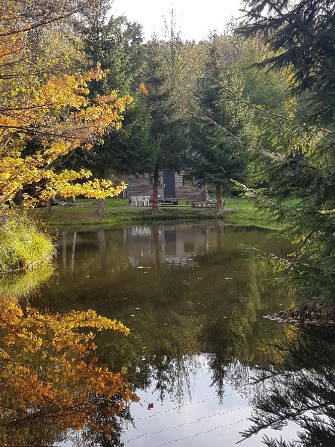Insolite Tiny House Sérénité Bien Être Ban-sur-Meurthe-Clefcy Extérieur photo