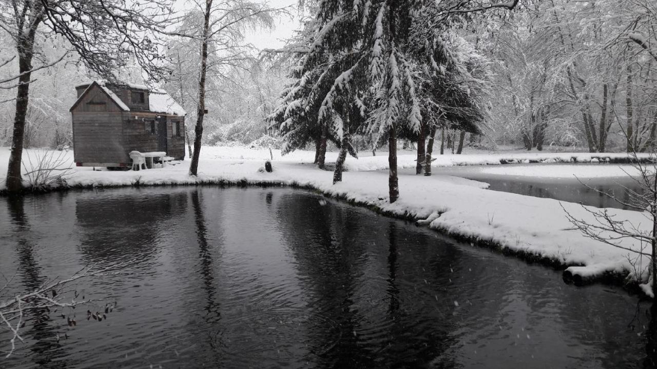 Insolite Tiny House Sérénité Bien Être Ban-sur-Meurthe-Clefcy Extérieur photo