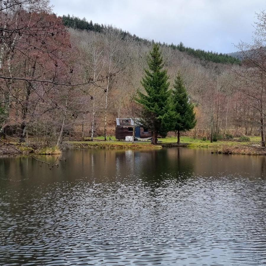 Insolite Tiny House Sérénité Bien Être Ban-sur-Meurthe-Clefcy Extérieur photo